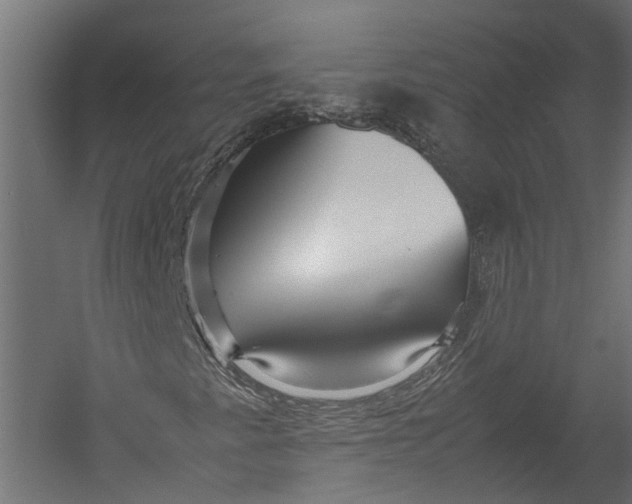 X0000052951345200507300034