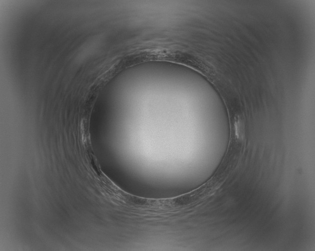 X0000052951347200507300034