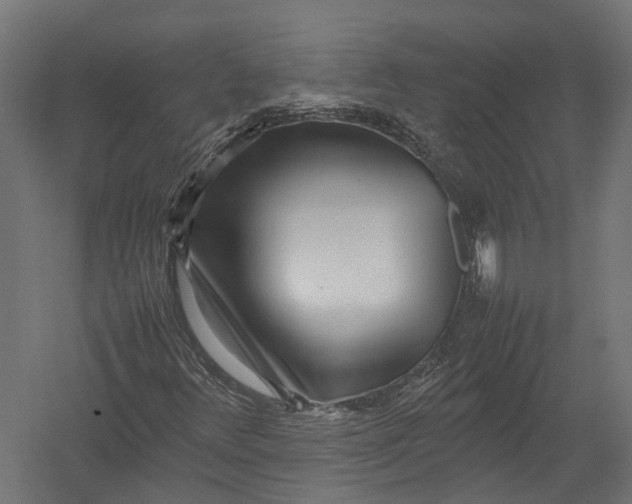 X0000052951348200507300034