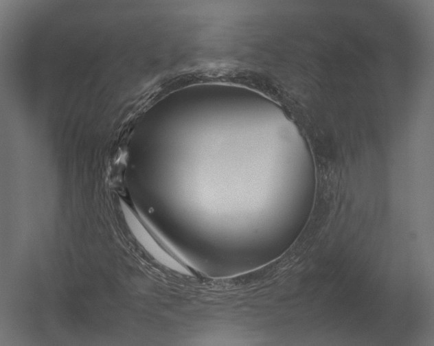 X0000052951349200507300034