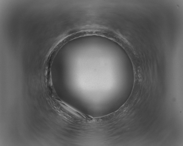 X0000052951352200507300034