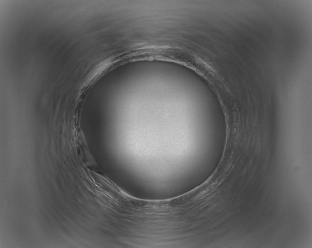 X0000052951354200507300034