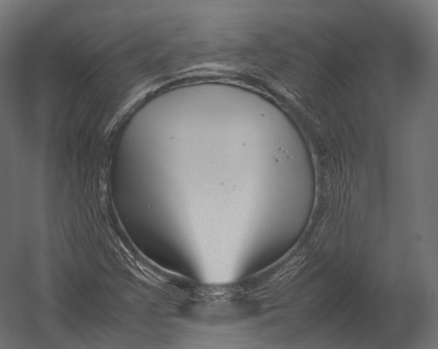 X0000052951355200507300034