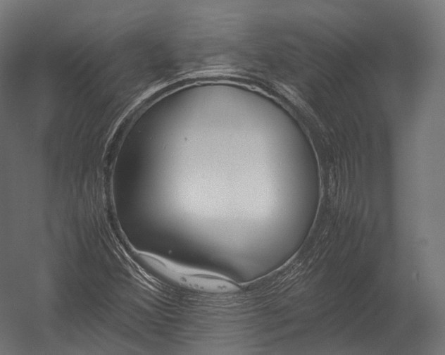 X0000052951356200507300034