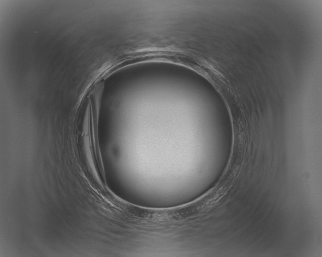 X0000052951357200507300034