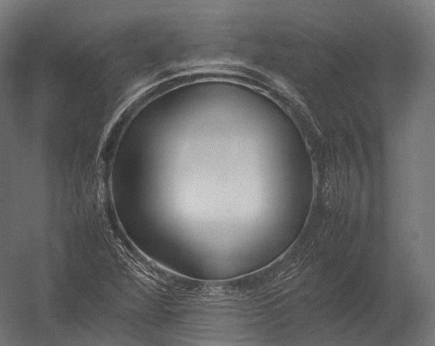 X0000052951360200507300034