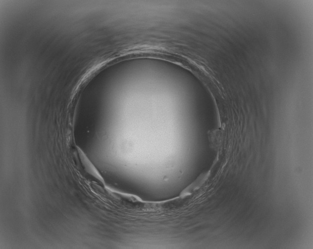 X0000052951363200507300034