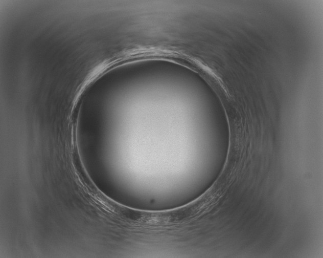 X0000052951365200507300034