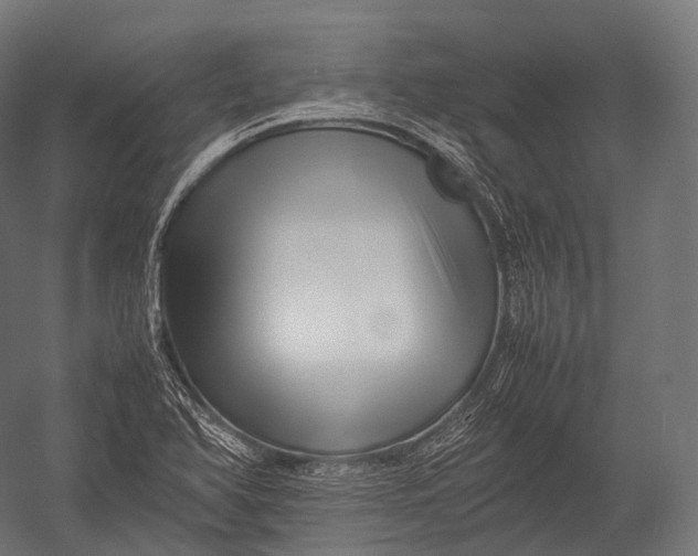 X0000052951366200507300034