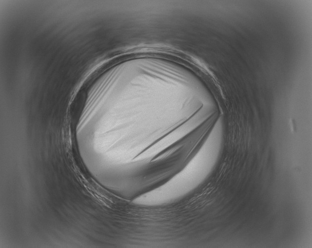 X0000052951368200507300034