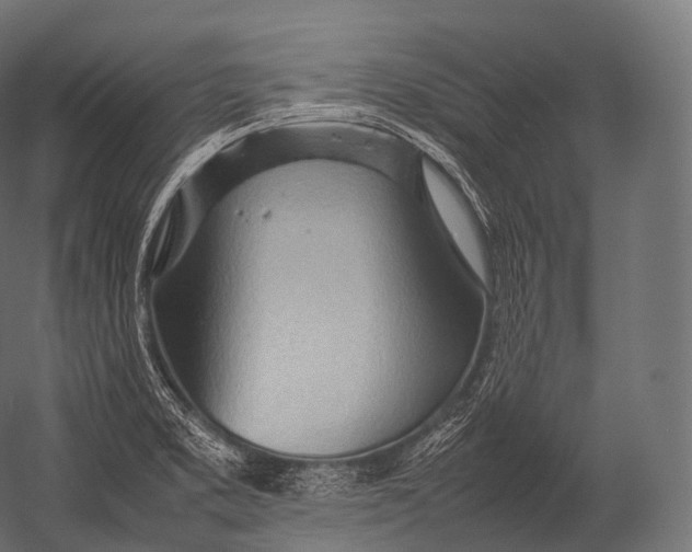 X0000052951373200507300034