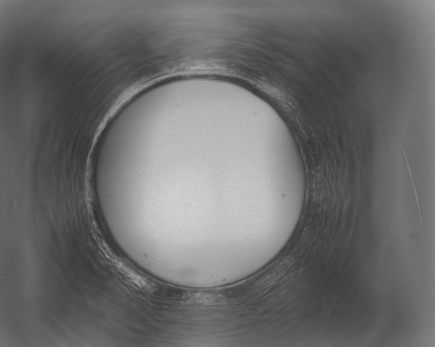 X0000052951374200507300034