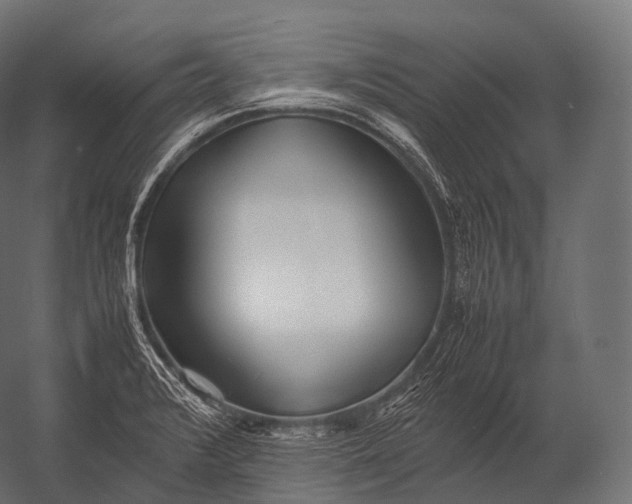 X0000052951376200507300034