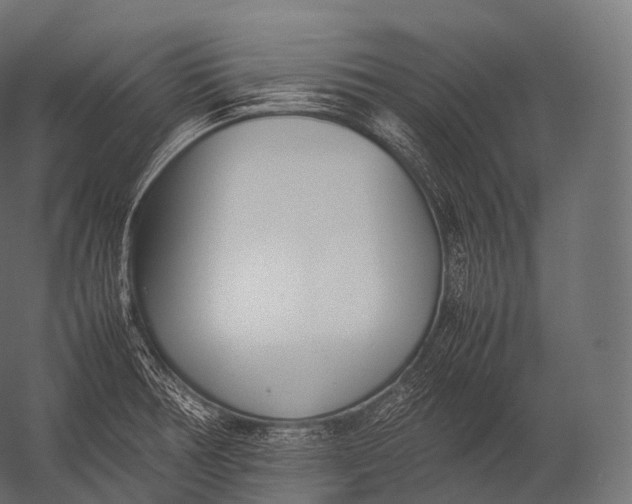 X0000052951378200507300034
