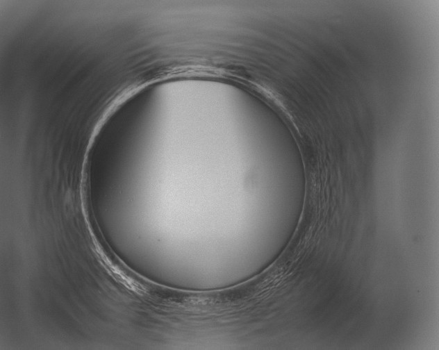 X0000052951379200507300034