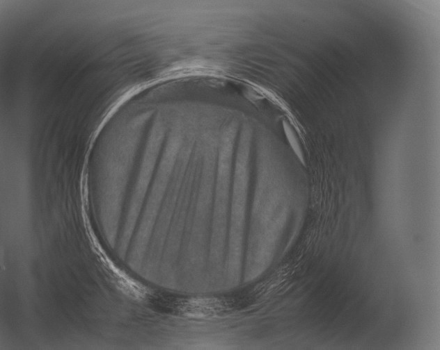 X0000052951383200507300034