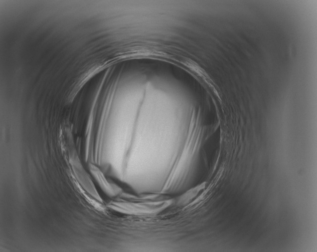 X0000052951385200507300034
