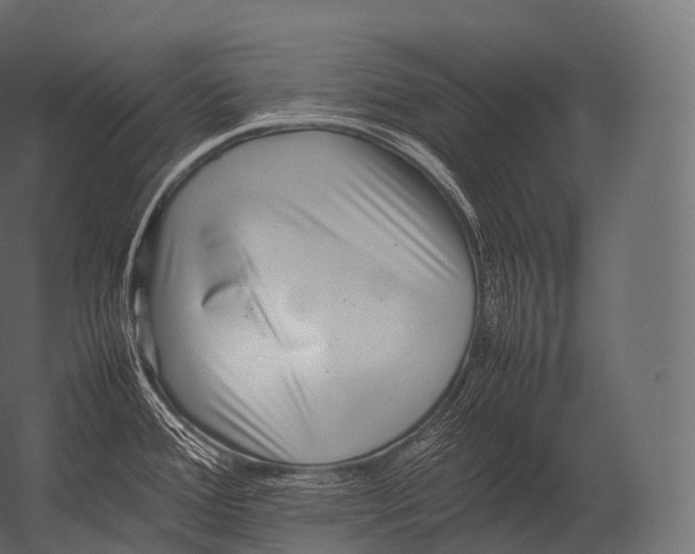 X0000052951388200507300034