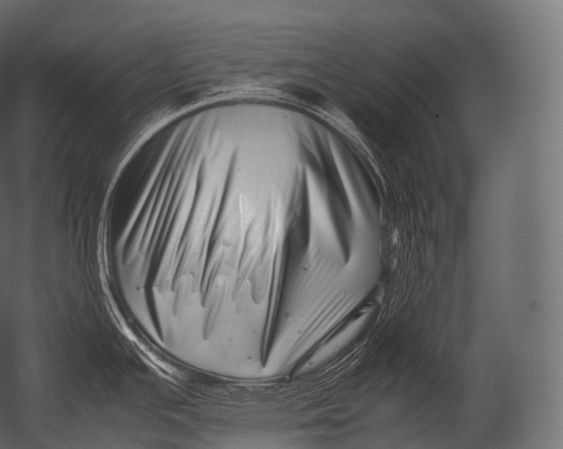 X0000052951391200507300034