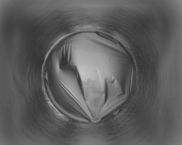 X0000052951392200507300034