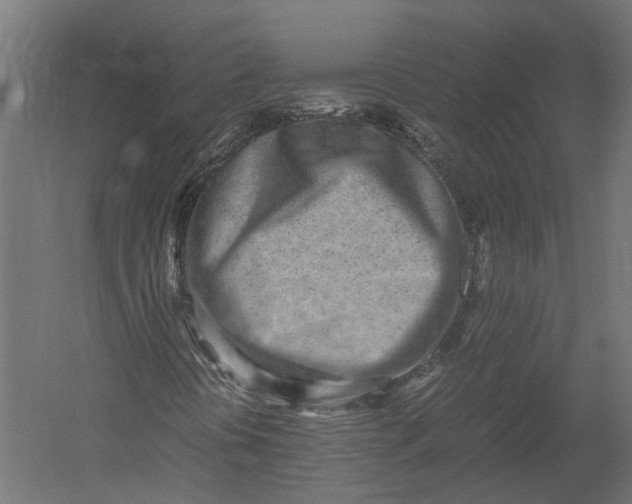X0000052951394200507300033