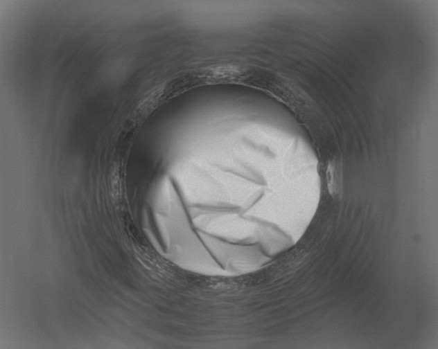 X0000052951395200507300033