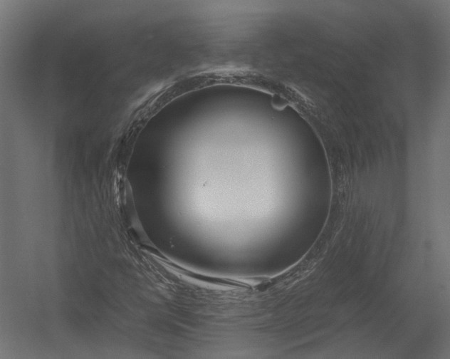 X0000052951398200507300033