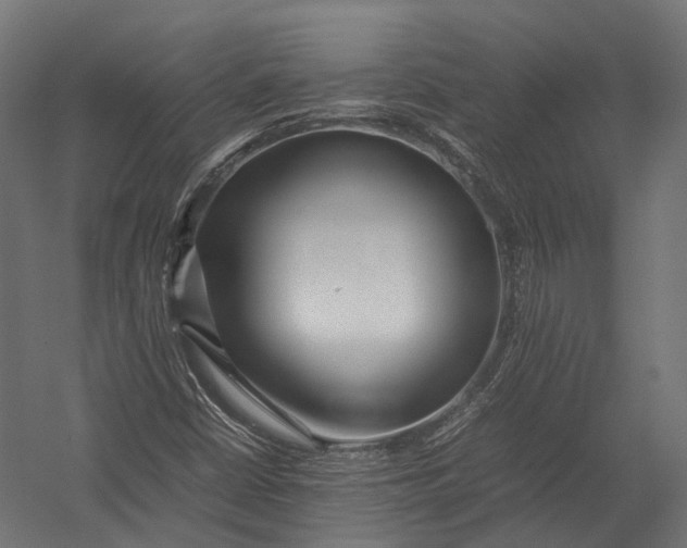 X0000052951402200507300033