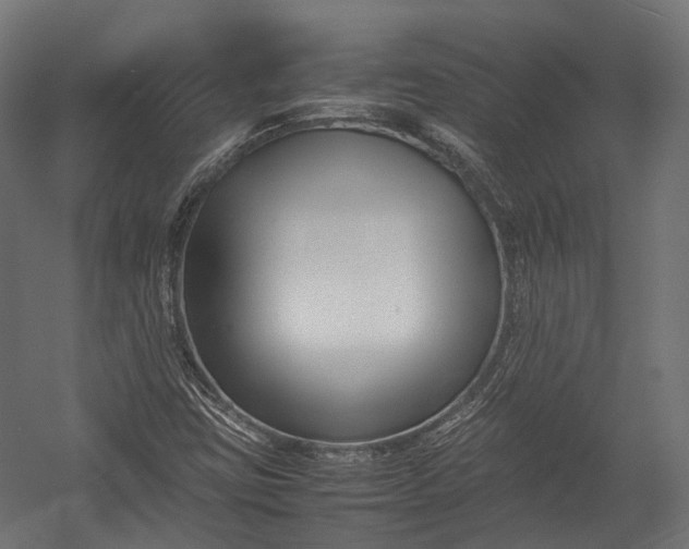 X0000052951403200507300033
