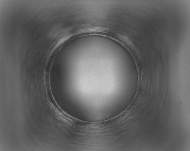 X0000052951404200507300033