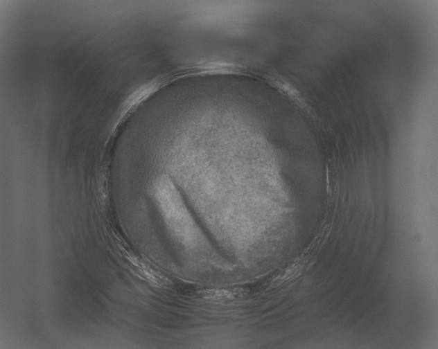 X0000052951405200507300033