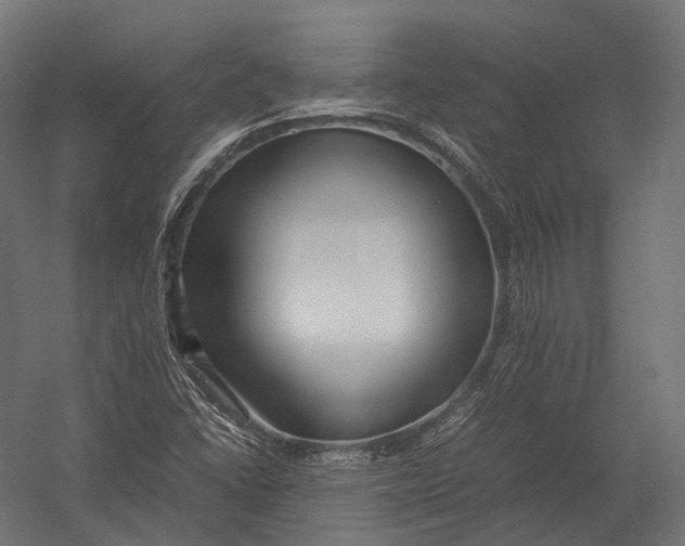 X0000052951406200507300033