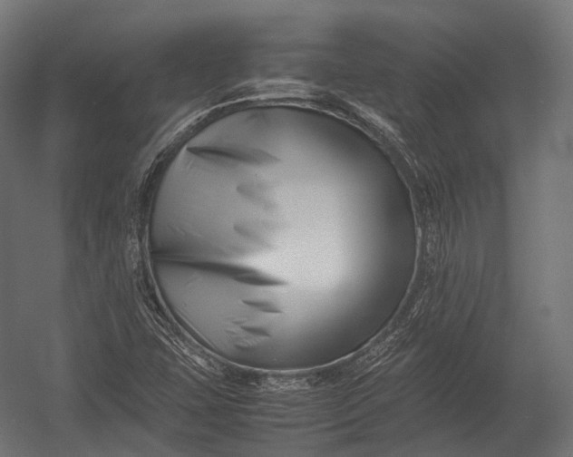 X0000052951407200507300033