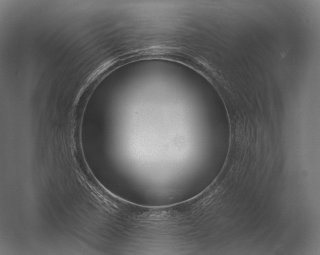 X0000052951410200507300033