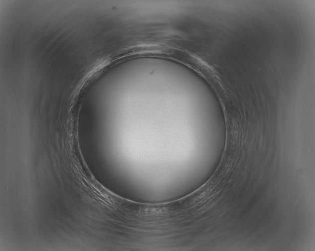 X0000052951411200507300033