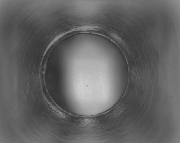 X0000052951412200507300033