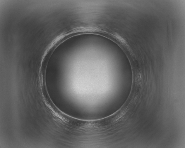 X0000052951414200507300033