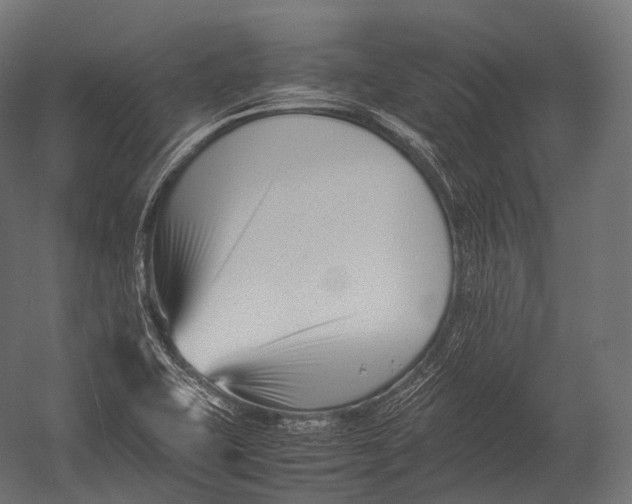 X0000052951415200507300033