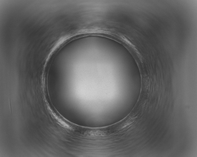 X0000052951416200507300033