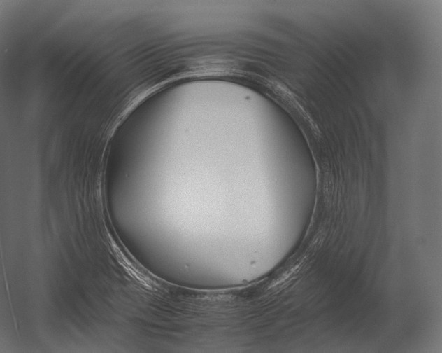 X0000052951417200507300033