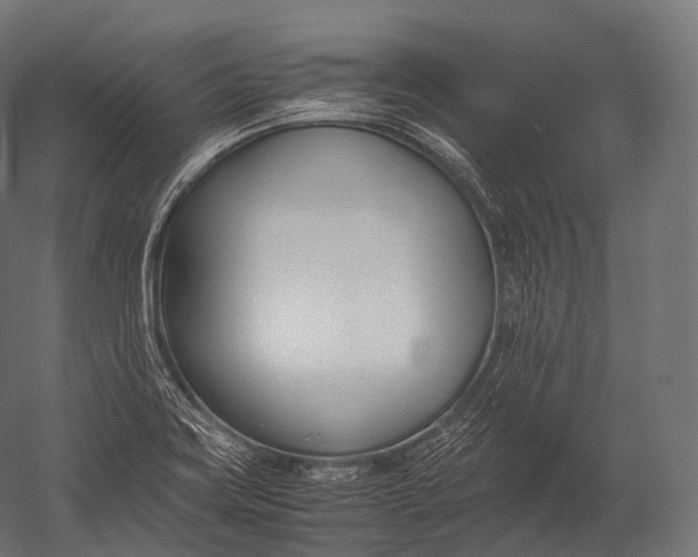 X0000052951419200507300033