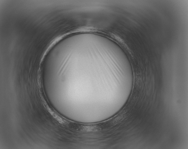 X0000052951421200507300033