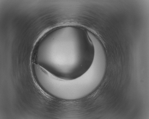X0000052951422200507300033