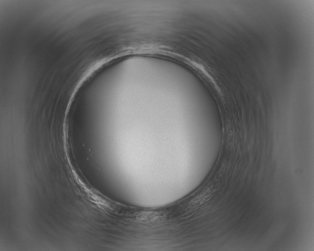X0000052951424200507300033