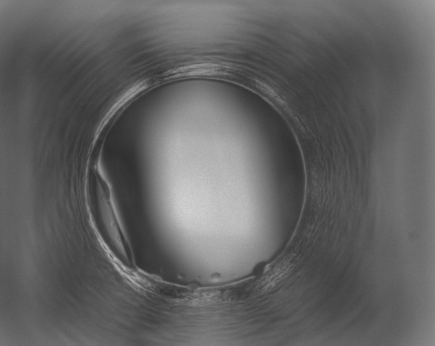X0000052951426200507300033