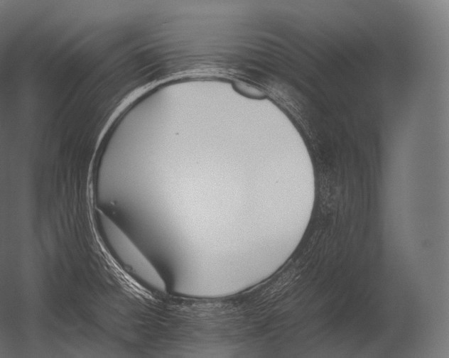 X0000052951428200507300033