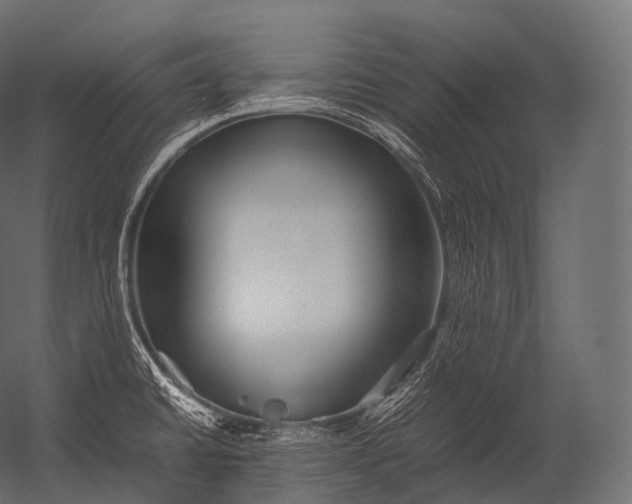 X0000052951430200507300033