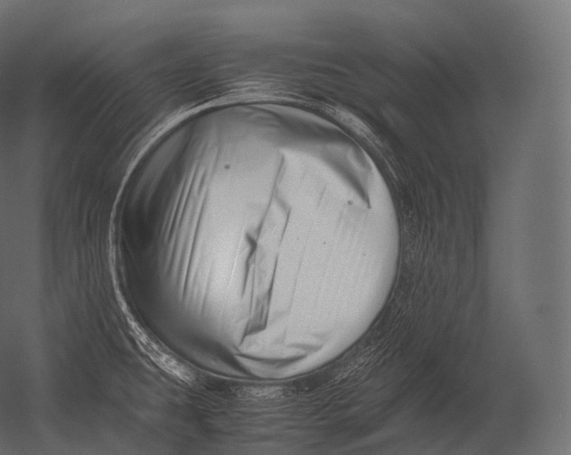 X0000052951431200507300033