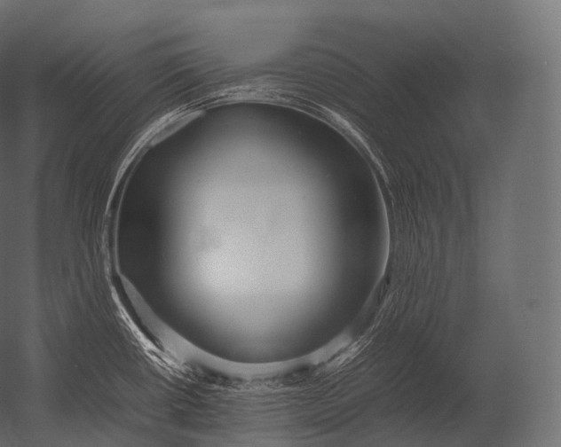 X0000052951434200507300033