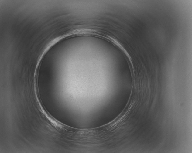 X0000052951437200507300033
